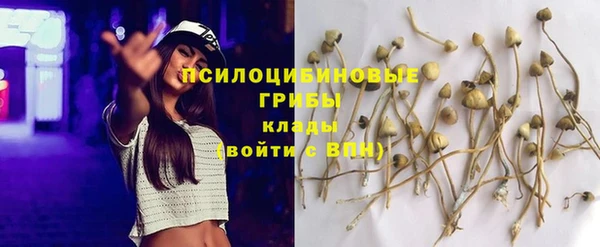 гидропоника Аркадак