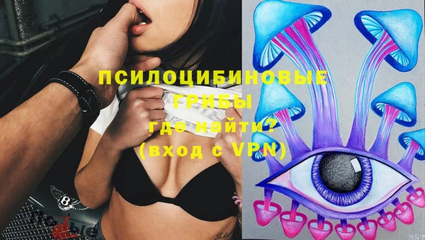 эйфоретик Алексин