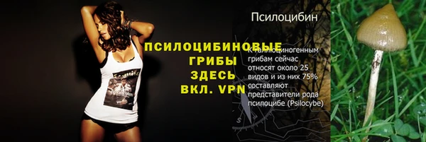 сатива Армянск
