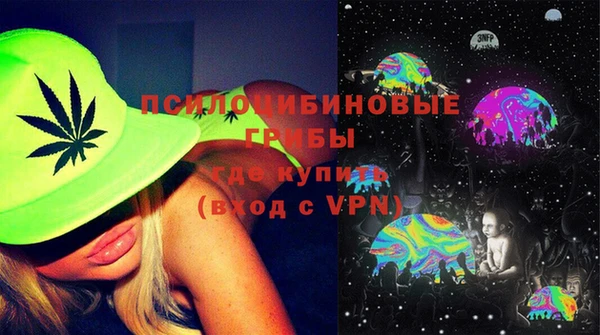 сатива Армянск