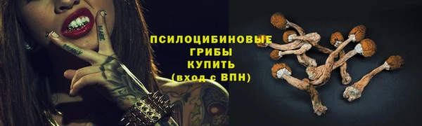 сатива Армянск