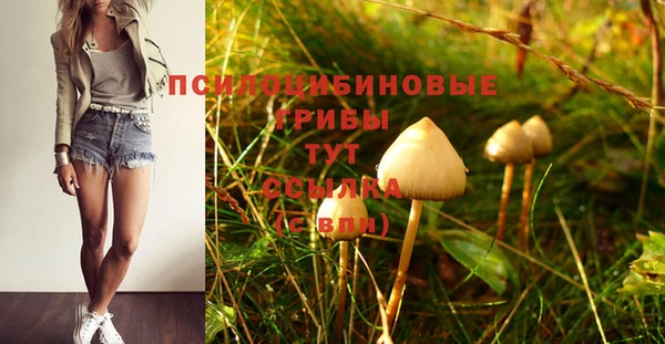 сатива Армянск