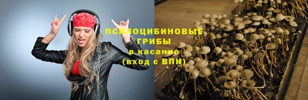 сатива Армянск