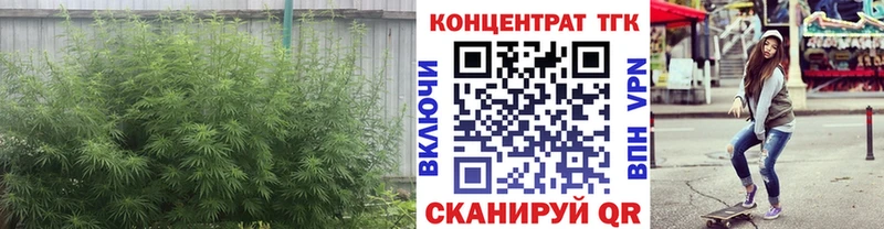 Дистиллят ТГК Wax Нарткала