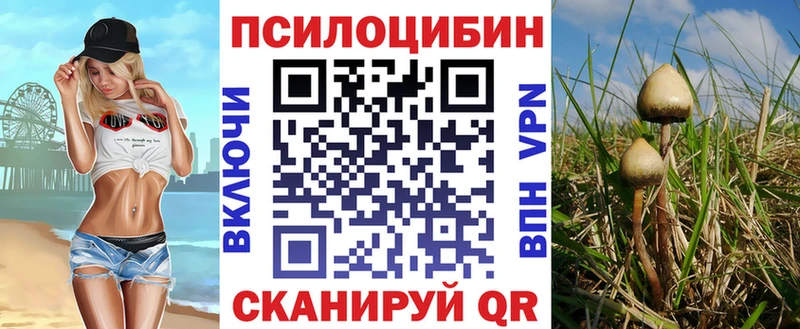 Псилоцибиновые грибы прущие грибы Нарткала