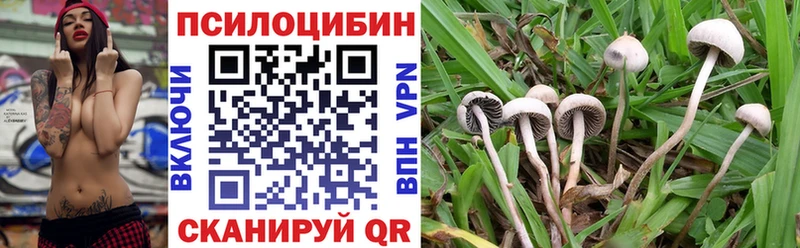 Псилоцибиновые грибы MAGIC MUSHROOMS  даркнет сайт  Нарткала 
