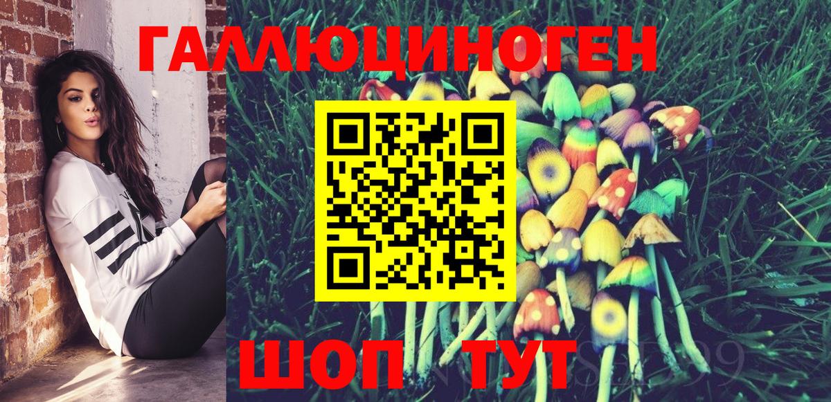 Псилоцибиновые грибы GOLDEN TEACHER  Вход с VPN  Нарткала 