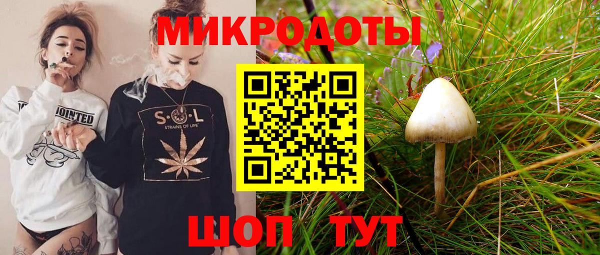 Галлюциногенные грибы Psilocybine cubensis Нарткала
